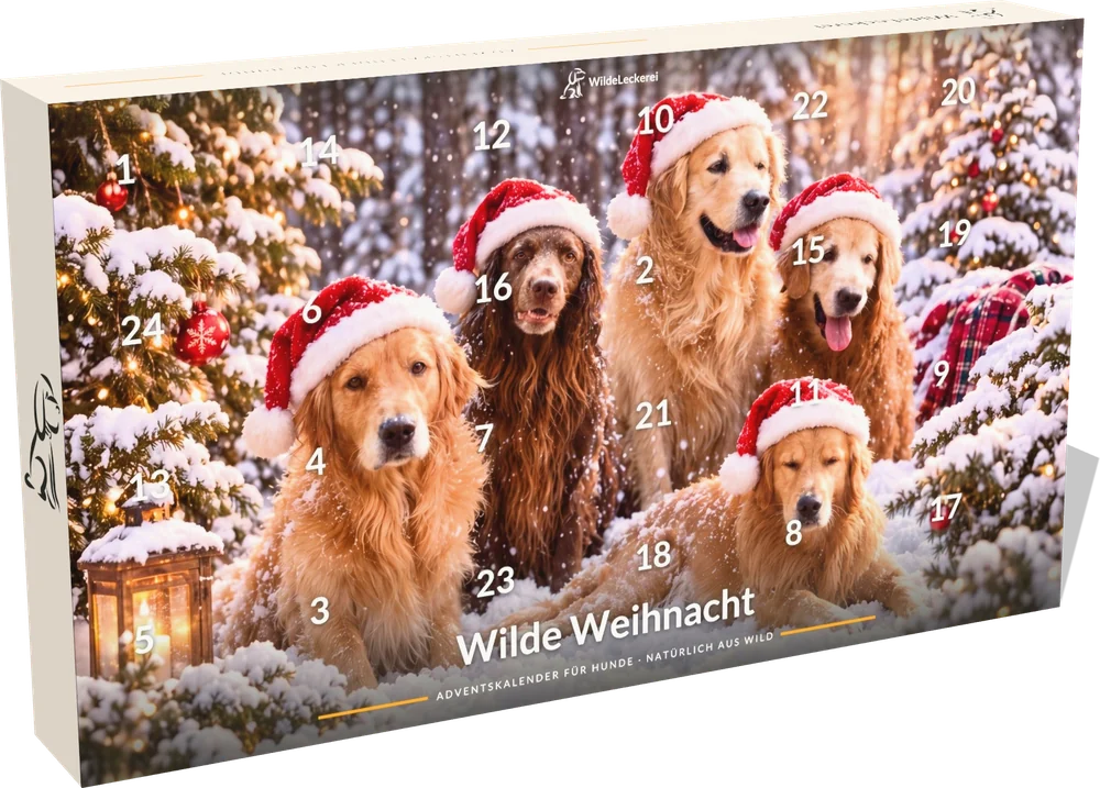 Adventskalender Wilde Weihnacht für Hunde, klein: fünf Hunde mit Weihnachtsmützen im verschneiten Wald